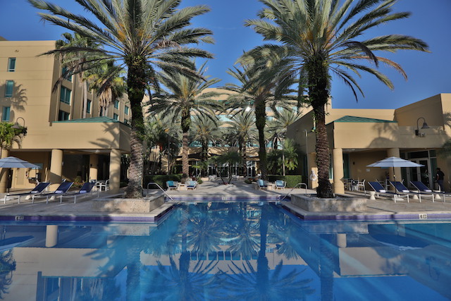 InterContinental at Doral Miami pool