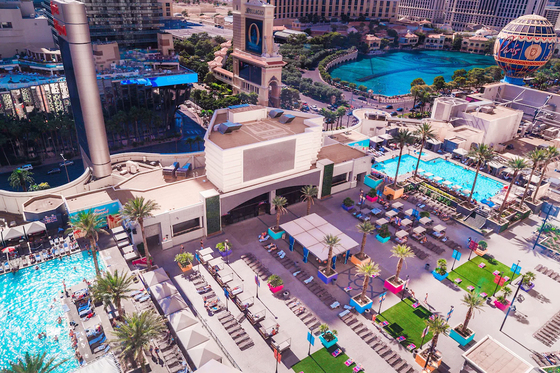 Planet Hollywood Las Vegas Resort & Casino: Pool & Spa Day Pass Las