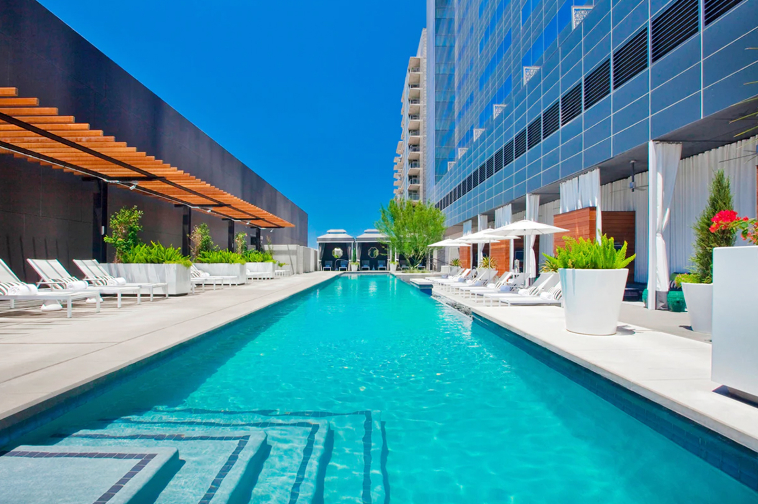 Day Pass at W Austin