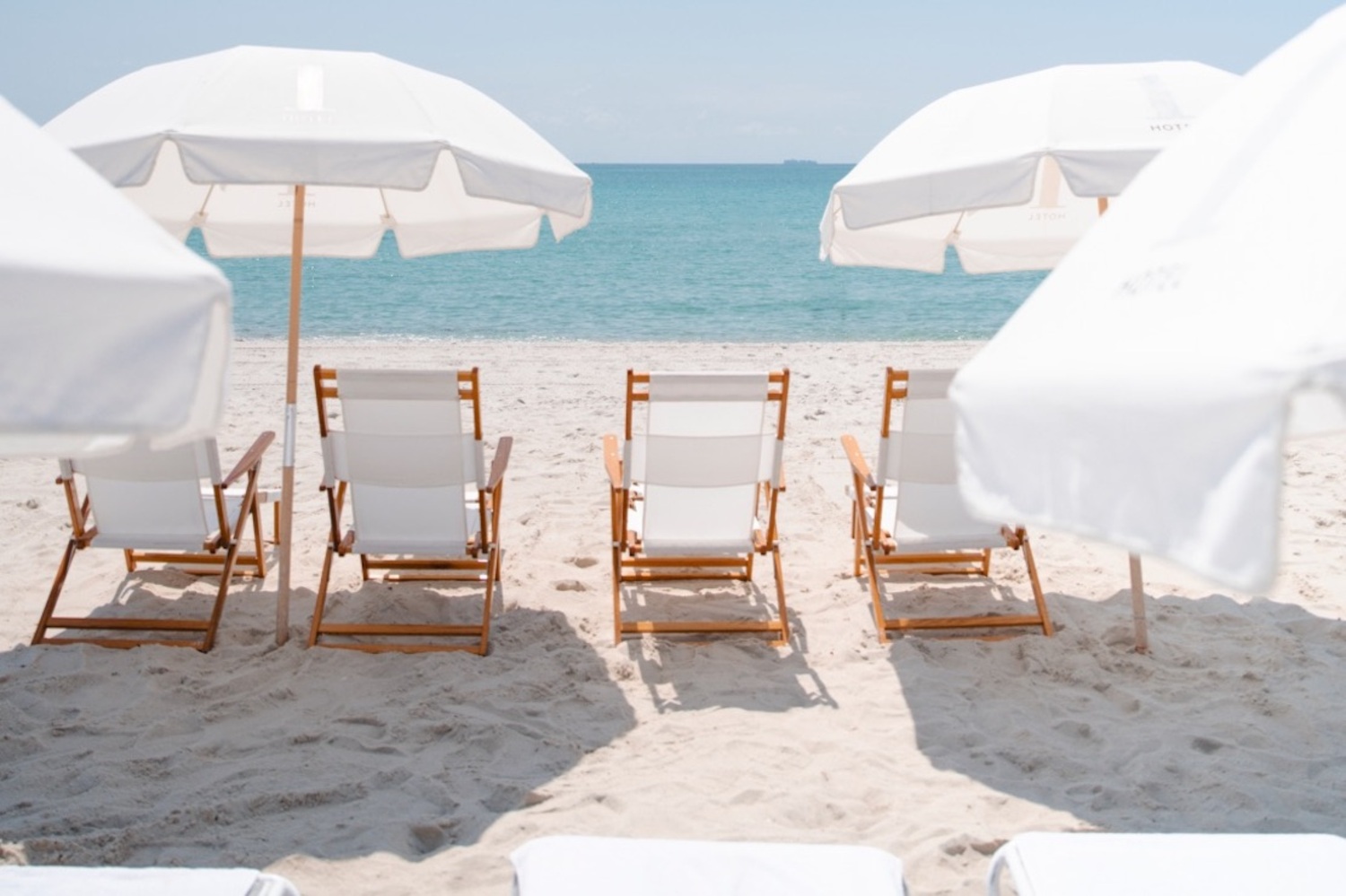 1 Hotel South Beach
