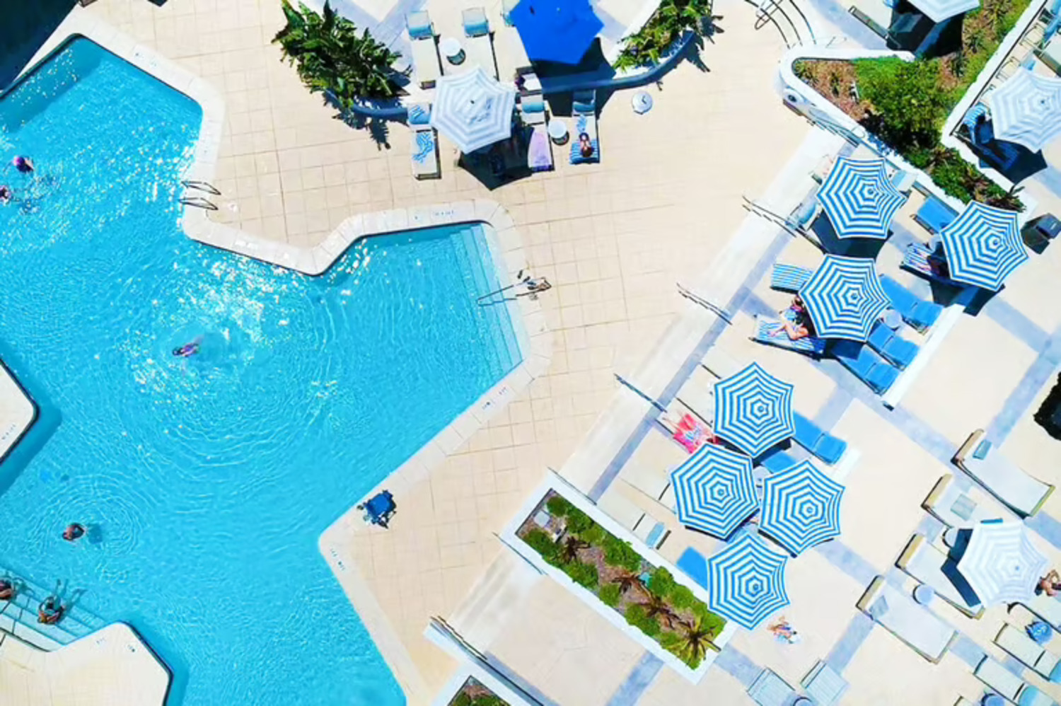 Standard Cabana at Hilton Daytona Beach Oceanfront Resort